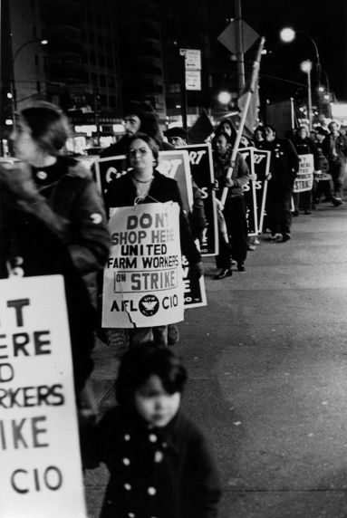 (3631) Nighttime picket (3631) Nighttime picket